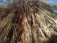 /album/la-bobila-de-viladecans/a2-conducto-quimico-jpg/